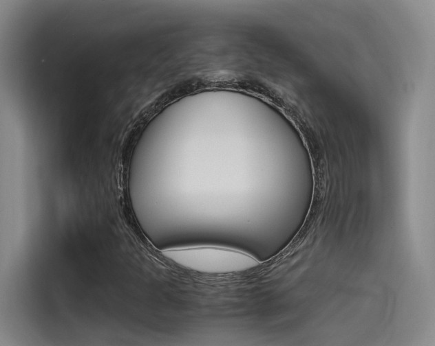 X0000114591301200910191026