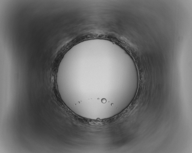 X0000114591302200910191026