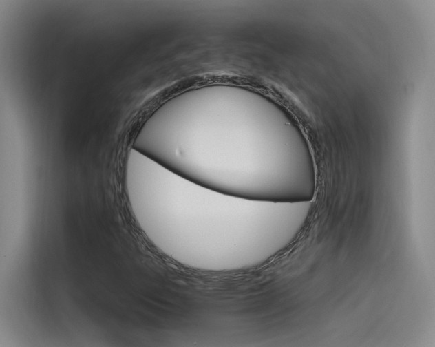 X0000114591303200910191026