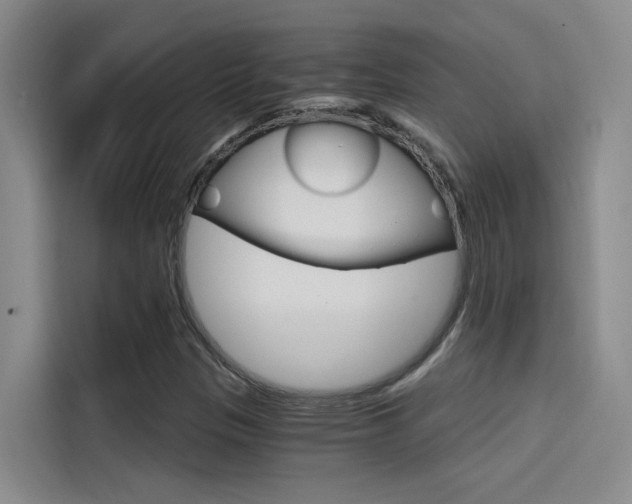 X0000114591305200910191026