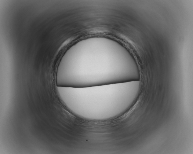 X0000114591306200910191026
