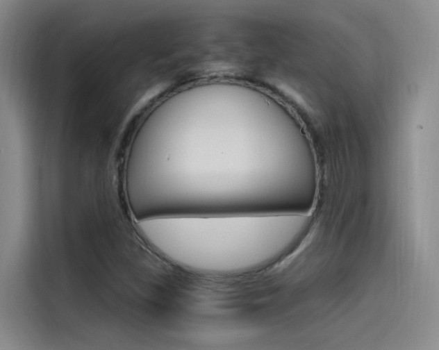 X0000114591309200910191026