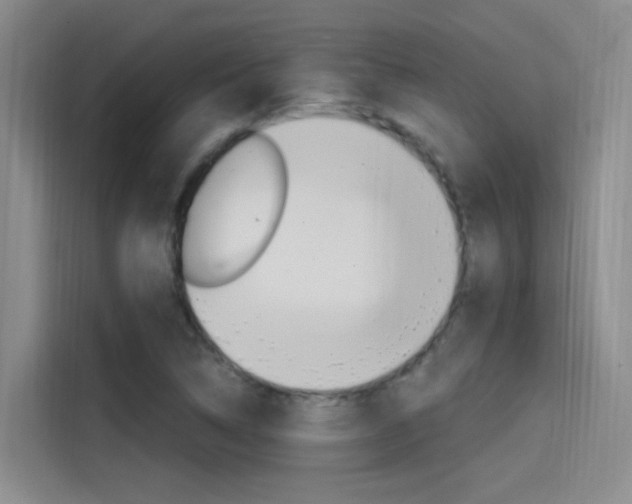 X0000114591314200910191026