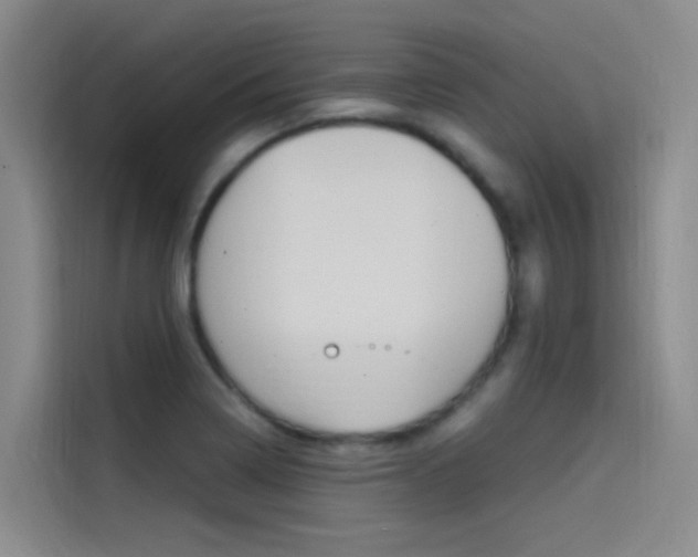 X0000114591322200910191026