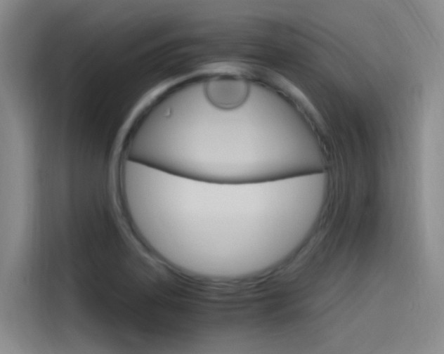X0000114591323200910191026