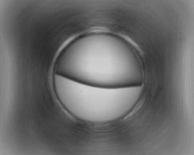 X0000114591325200910191026