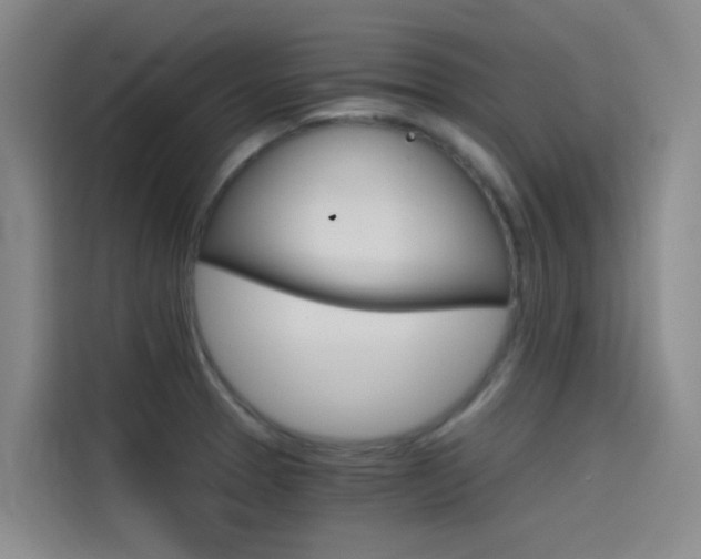 X0000114591329200910191026
