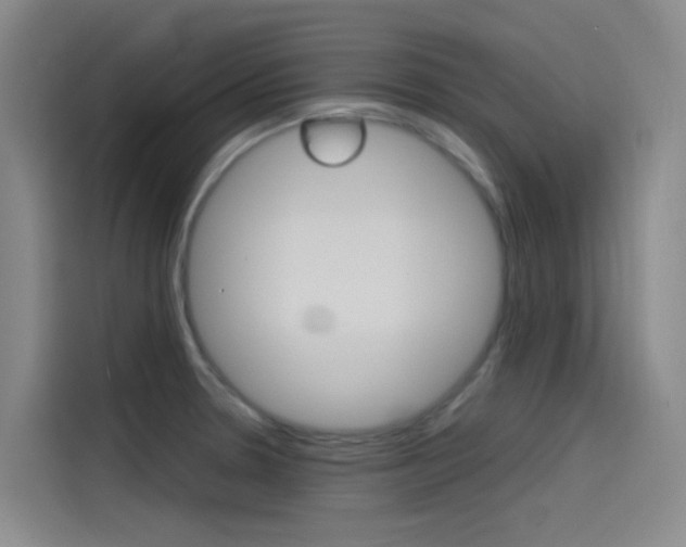 X0000114591330200910191026