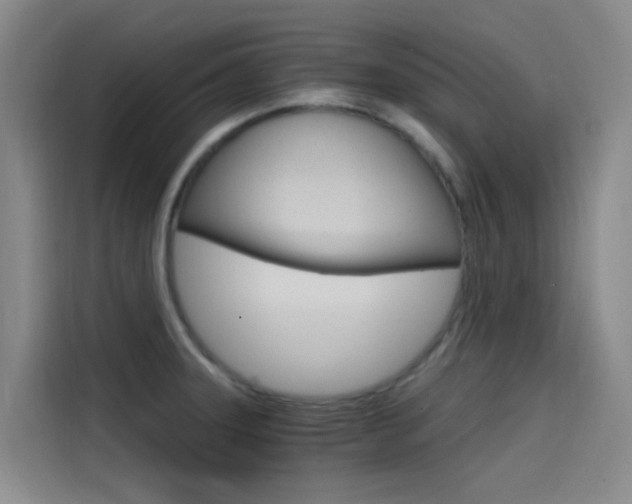 X0000114591331200910191026