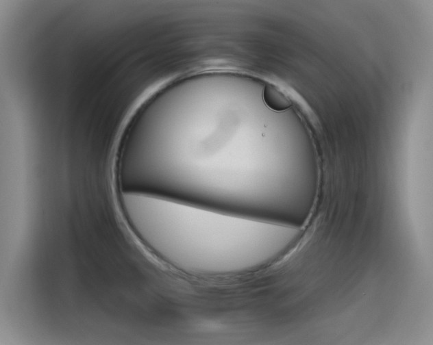 X0000114591333200910191026