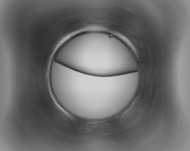 X0000114591335200910191026