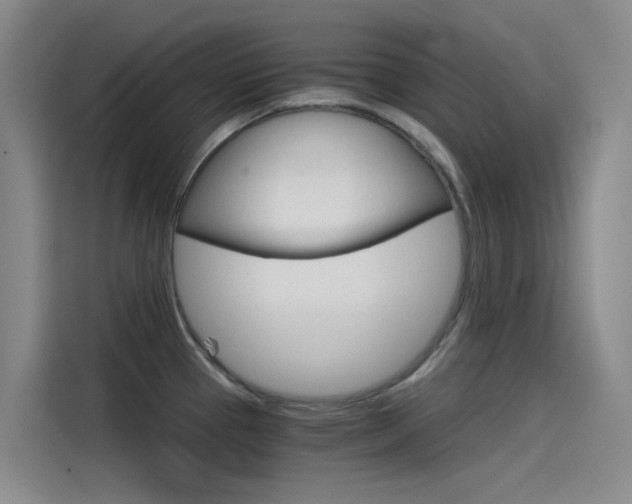 X0000114591337200910191026