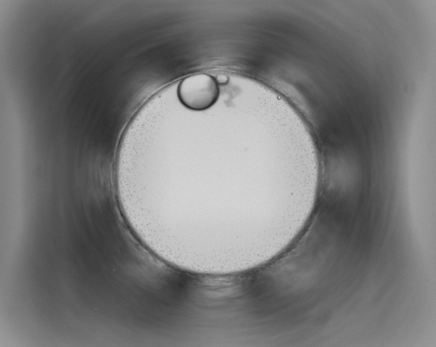 X0000114591338200910191026