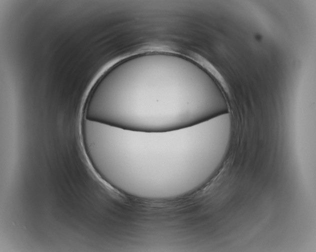 X0000114591339200910191026