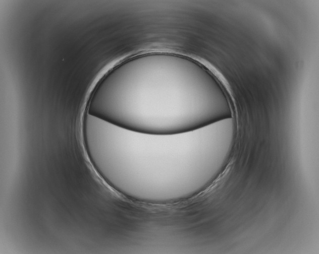 X0000114591341200910191026