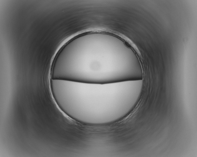 X0000114591343200910191026