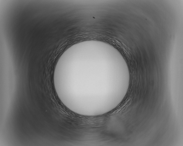 X0000114591345200910191026