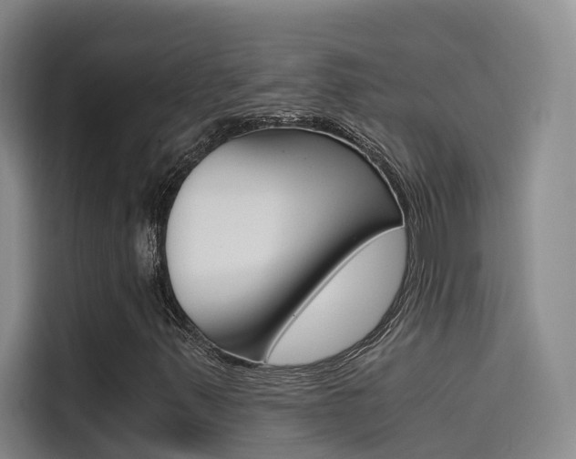 X0000114591347200910191026