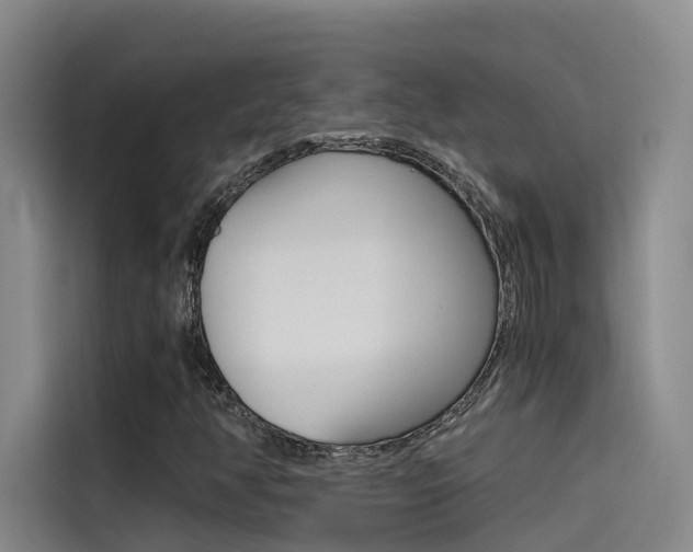 X0000114591350200910191026