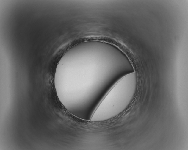 X0000114591351200910191026