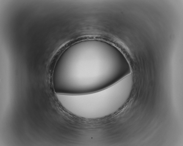 X0000114591352200910191026
