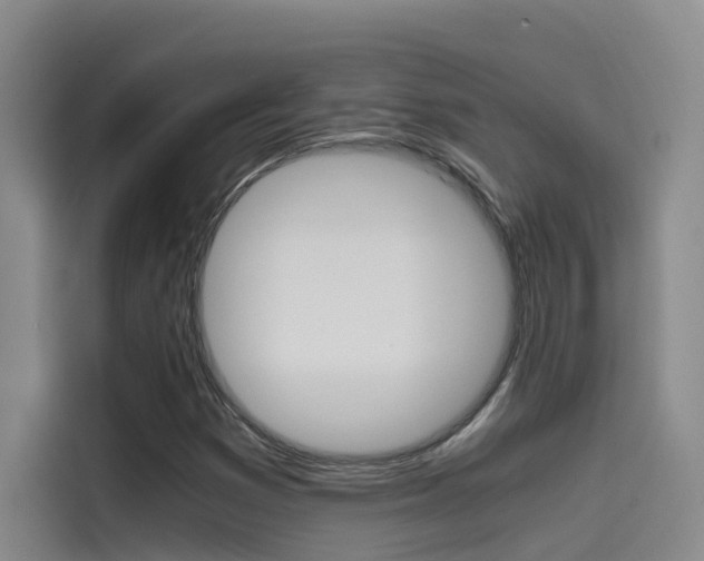 X0000114591353200910191026