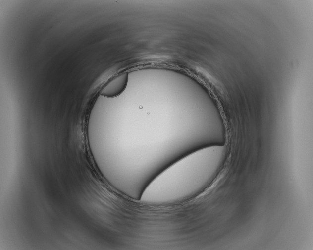 X0000114591354200910191026