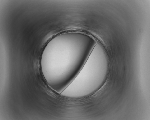 X0000114591355200910191026