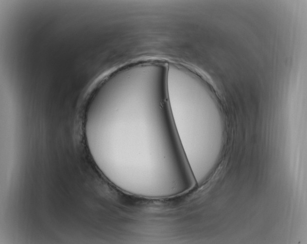 X0000114591359200910191026