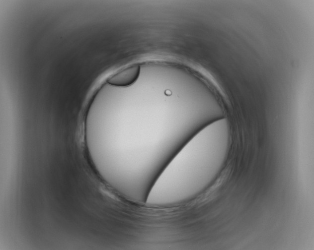X0000114591366200910191025