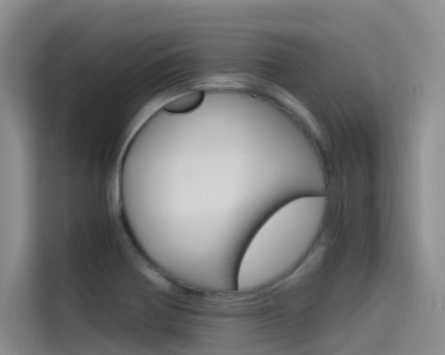 X0000114591370200910191025
