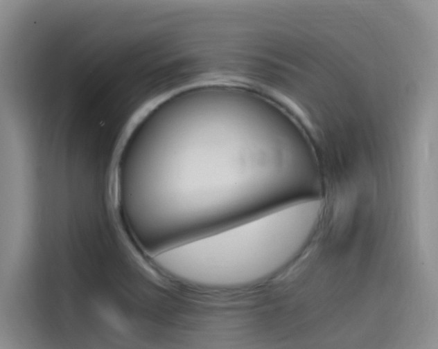 X0000114591371200910191025