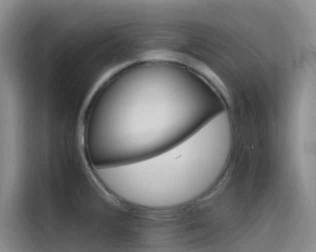 X0000114591376200910191025