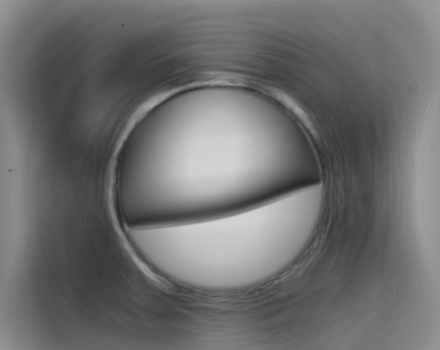 X0000114591379200910191025