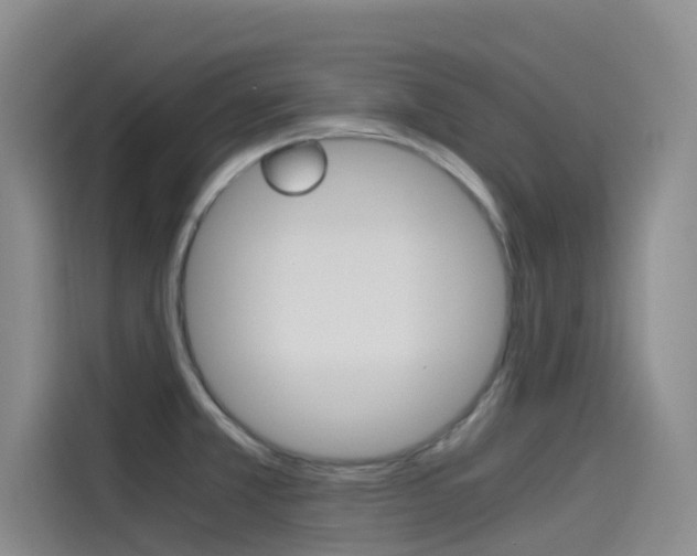 X0000114591381200910191025
