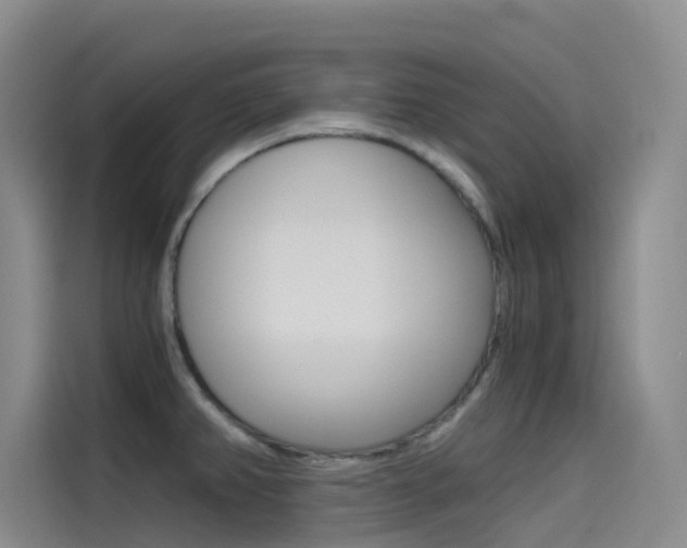 X0000114591382200910191025