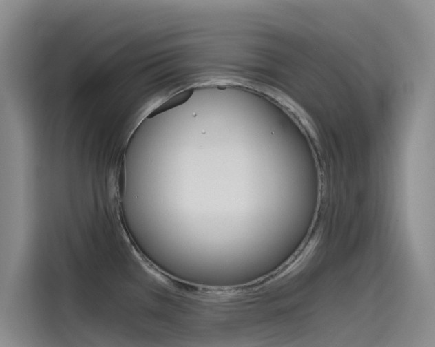 X0000114591385200910191025