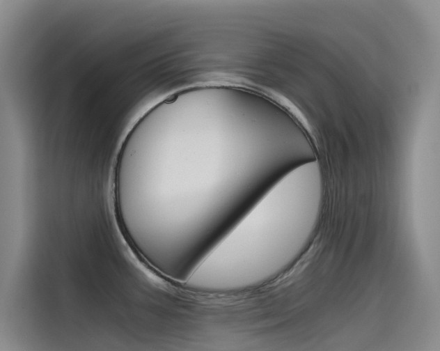 X0000114591387200910191025