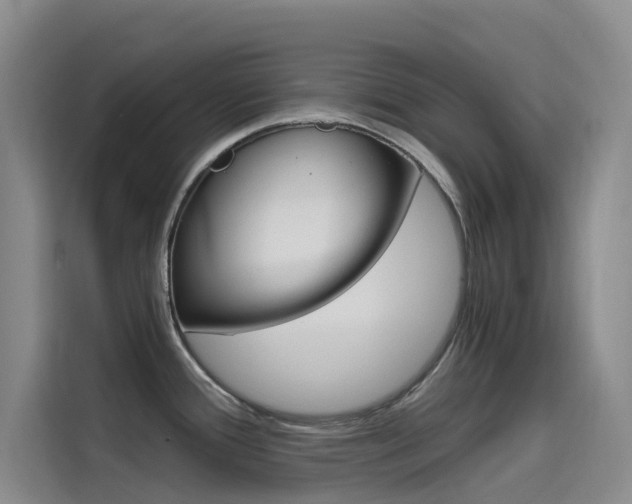 X0000114591388200910191025