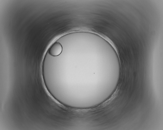 X0000114591389200910191025