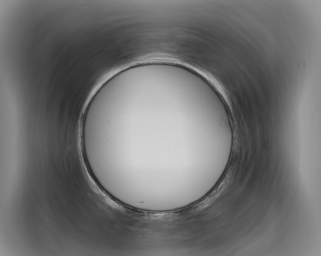 X0000114591390200910191025