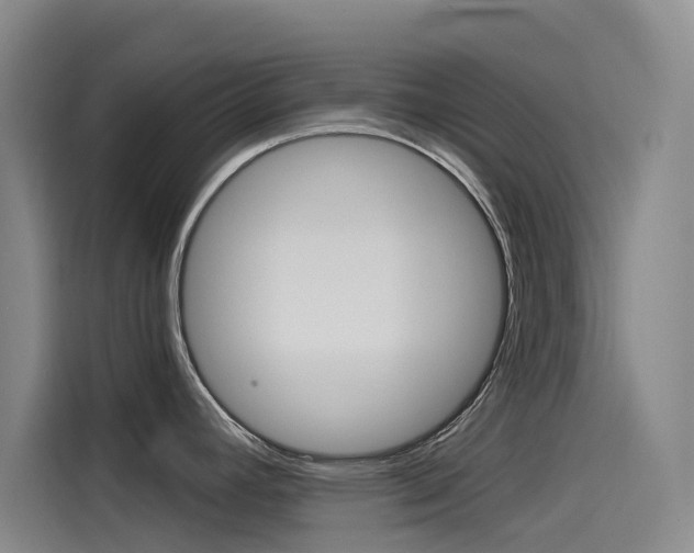 X0000114591392200910191025