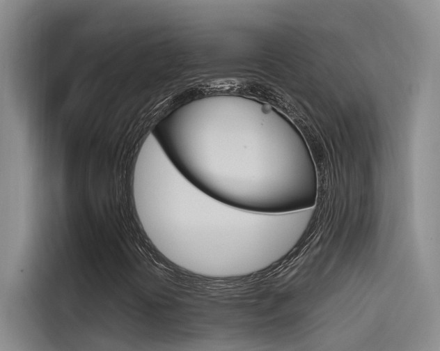 X0000114591394200910191024