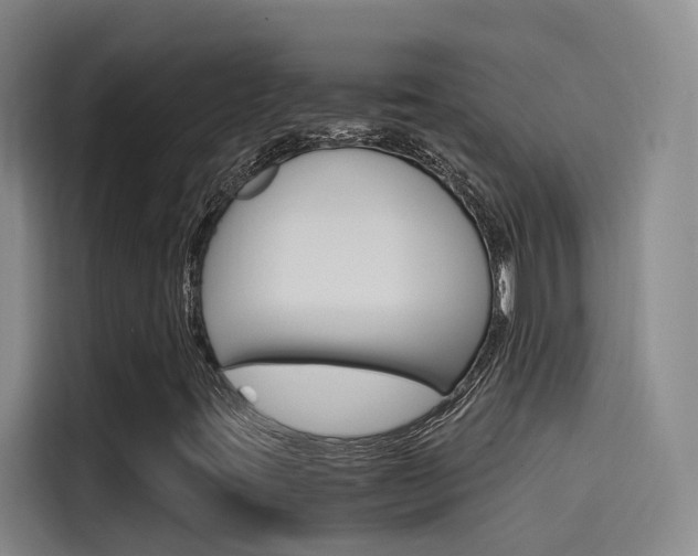 X0000114591395200910191024