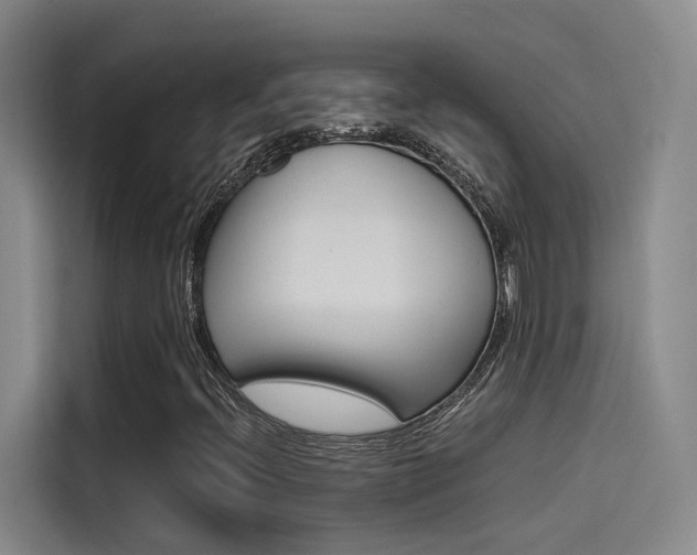 X0000114591396200910191025