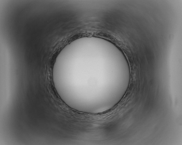 X0000114591397200910191025
