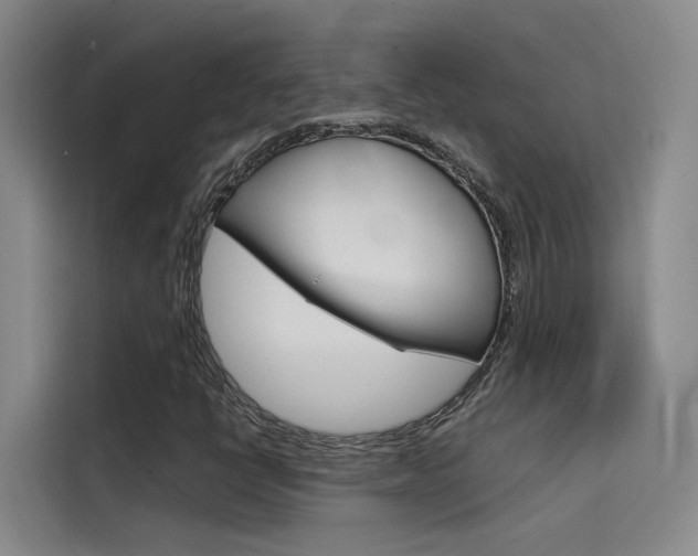 X0000114591398200910191025