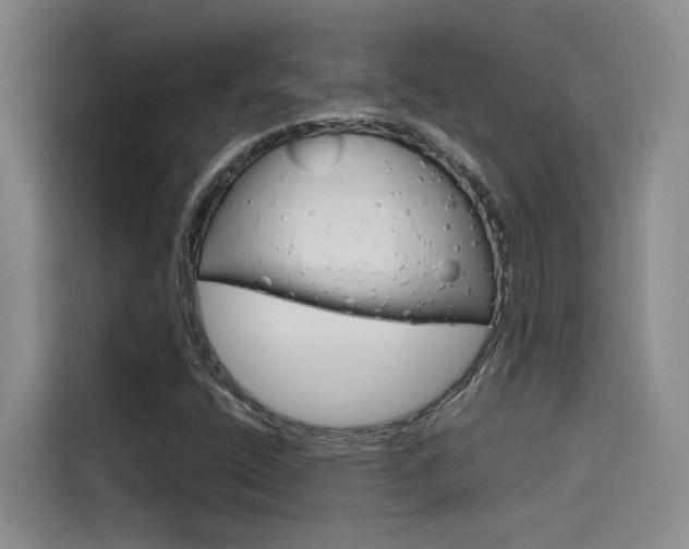 X0000114591400200910191025