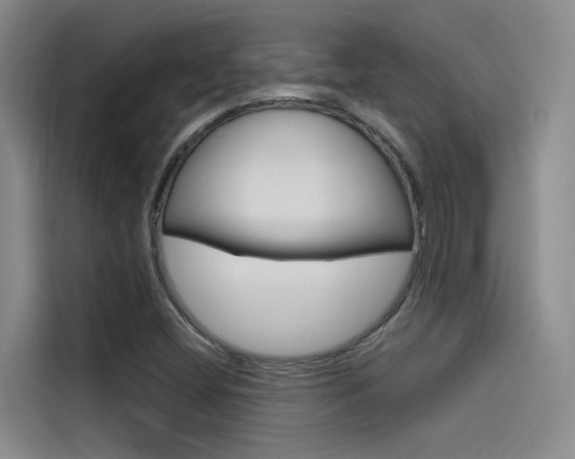 X0000114591404200910191025