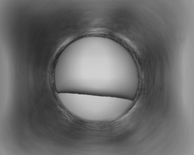 X0000114591405200910191025